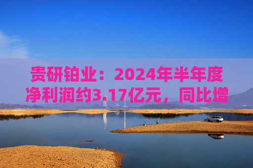 贵研铂业：2024年半年度净利润约3.17亿元，同比增加9.65%