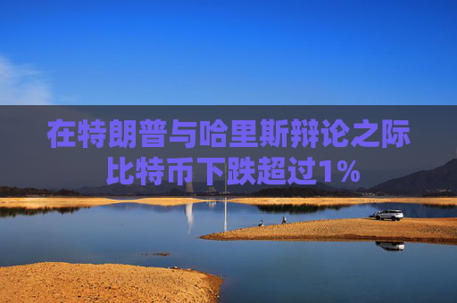 在特朗普与哈里斯辩论之际 比特币下跌超过1%