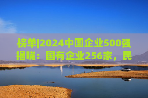 榜单|2024中国企业500强揭晓：国有企业256家，民营企业244家，与上年情况一致