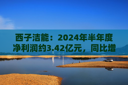 西子洁能：2024年半年度净利润约3.42亿元，同比增加1066.46%