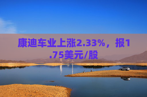 康迪车业上涨2.33%，报1.75美元/股