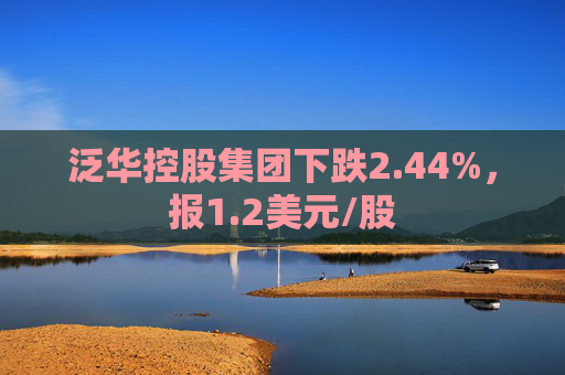 泛华控股集团下跌2.44%，报1.2美元/股