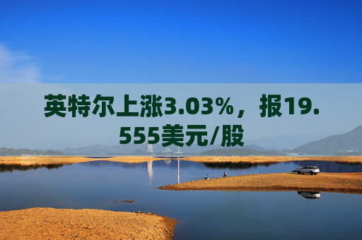 英特尔上涨3.03%，报19.555美元/股