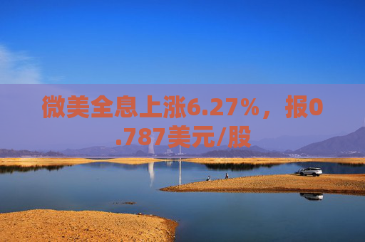 微美全息上涨6.27%，报0.787美元/股