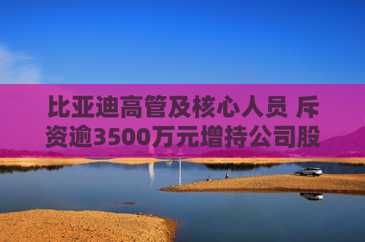 比亚迪高管及核心人员 斥资逾3500万元增持公司股份