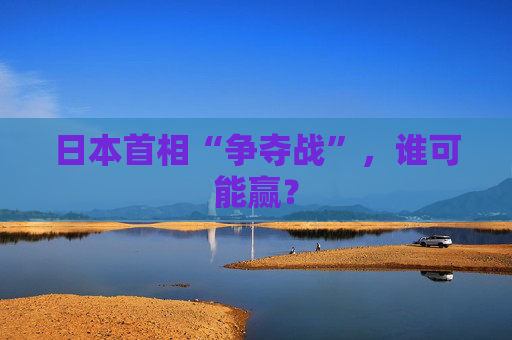 日本首相“争夺战”，谁可能赢？