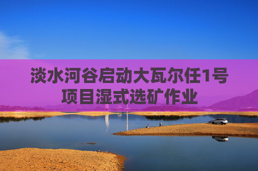 淡水河谷启动大瓦尔任1号项目湿式选矿作业