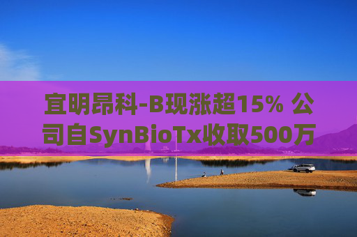 宜明昂科-B现涨超15% 公司自SynBioTx收取500万美元授权及合作付款