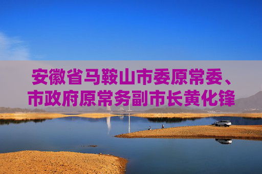 安徽省马鞍山市委原常委、市政府原常务副市长黄化锋被开除党籍和公职