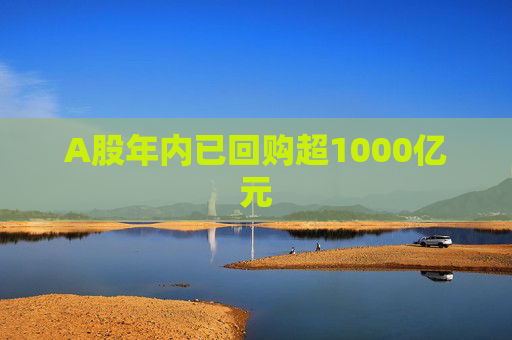 A股年内已回购超1000亿元