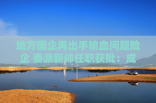 地方国企再出手输血问题险企 委派新帅任职获批：成立7年亏损8亿的三峡人寿距离脱困还有多远