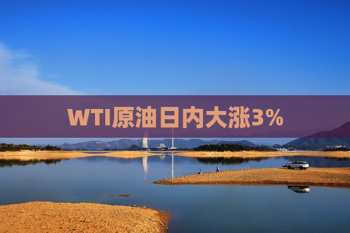 WTI原油日内大涨3%