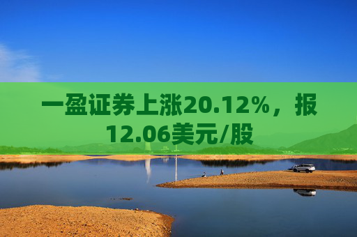 一盈证券上涨20.12%，报12.06美元/股