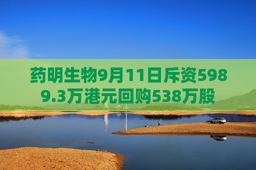 药明生物9月11日斥资5989.3万港元回购538万股