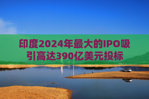 印度2024年最大的IPO吸引高达390亿美元投标