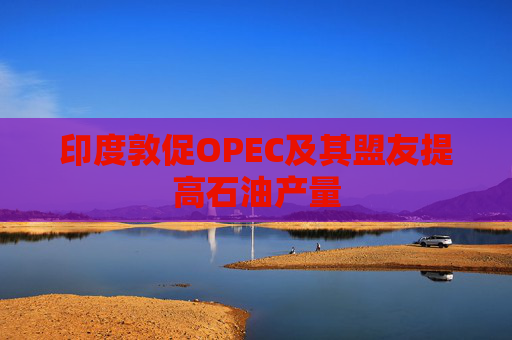 印度敦促OPEC及其盟友提高石油产量