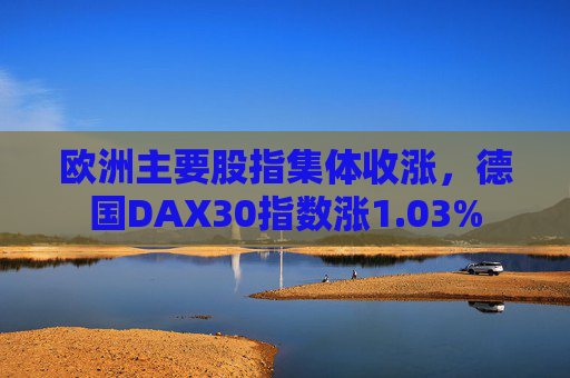 欧洲主要股指集体收涨，德国DAX30指数涨1.03%