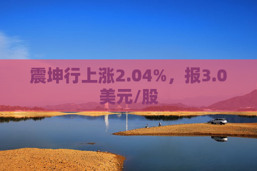 震坤行上涨2.04%，报3.0美元/股