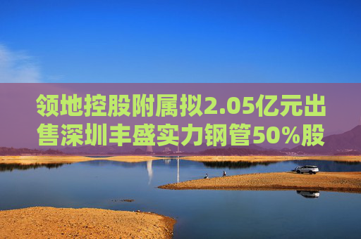 领地控股附属拟2.05亿元出售深圳丰盛实力钢管50%股权