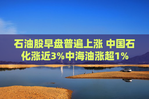 石油股早盘普遍上涨 中国石化涨近3%中海油涨超1%