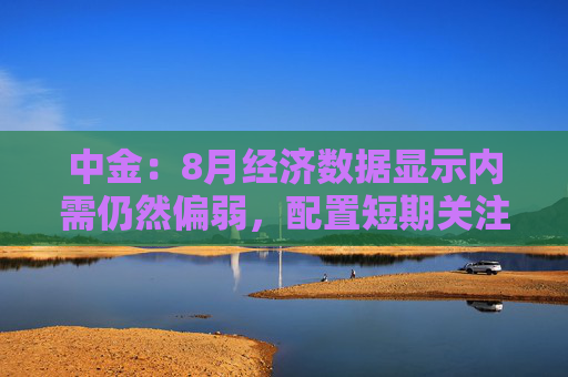 中金：8月经济数据显示内需仍然偏弱，配置短期关注超跌反弹和困境反转