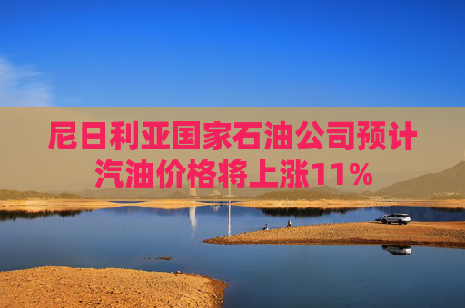 尼日利亚国家石油公司预计汽油价格将上涨11%