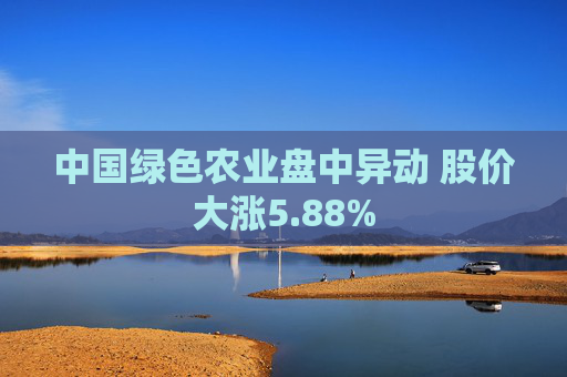 中国绿色农业盘中异动 股价大涨5.88%