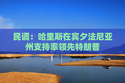 民调：哈里斯在宾夕法尼亚州支持率领先特朗普