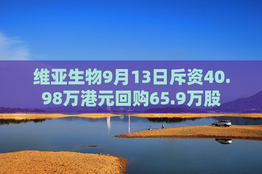 维亚生物9月13日斥资40.98万港元回购65.9万股