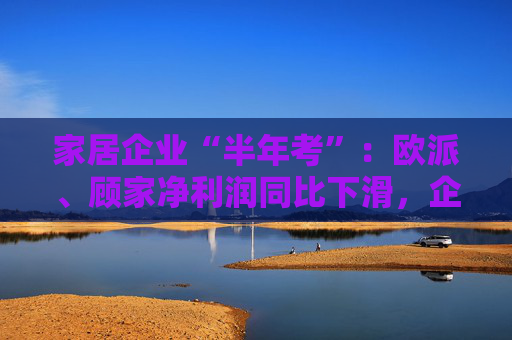 家居企业“半年考”：欧派、顾家净利润同比下滑，企业寻求海外市场突破