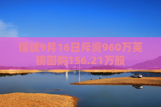 保诚9月16日斥资960万英镑回购156.21万股