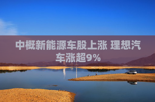 中概新能源车股上涨 理想汽车涨超9%