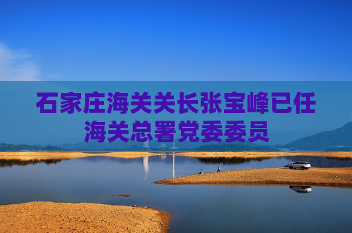 石家庄海关关长张宝峰已任海关总署党委委员