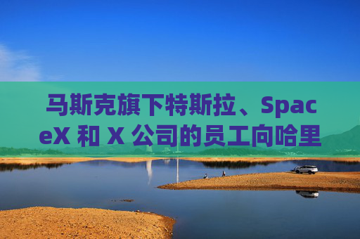 马斯克旗下特斯拉、SpaceX 和 X 公司的员工向哈里斯捐款 而他本人支持特朗普