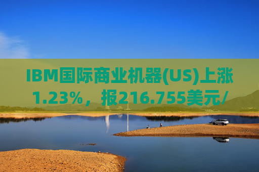 IBM国际商业机器(US)上涨1.23%，报216.755美元/股