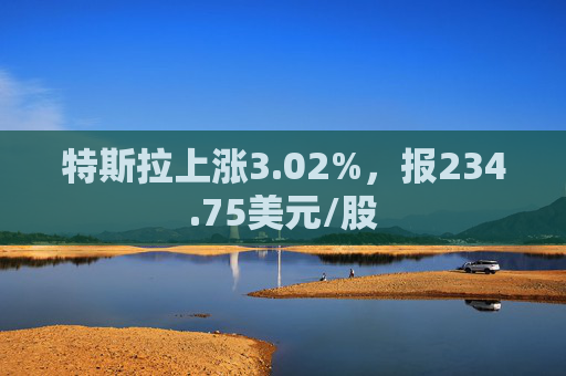 特斯拉上涨3.02%，报234.75美元/股