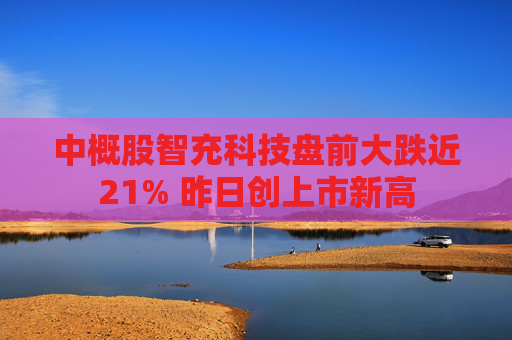 中概股智充科技盘前大跌近21% 昨日创上市新高