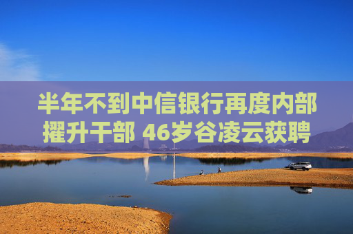 半年不到中信银行再度内部擢升干部 46岁谷凌云获聘任副行长 望成股份行层面最年轻高管