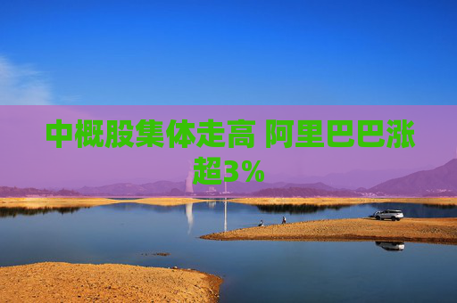 中概股集体走高 阿里巴巴涨超3%