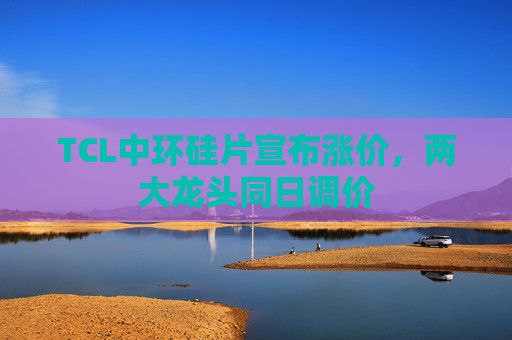 TCL中环硅片宣布涨价，两大龙头同日调价