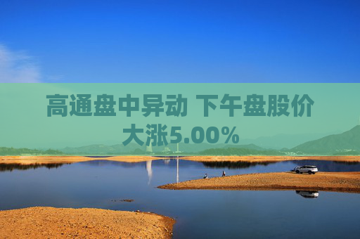 高通盘中异动 下午盘股价大涨5.00%