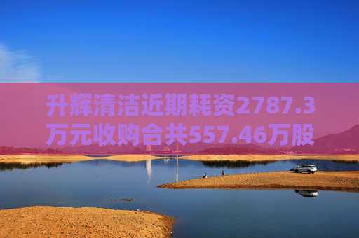 升辉清洁近期耗资2787.3万元收购合共557.46万股百事达股份