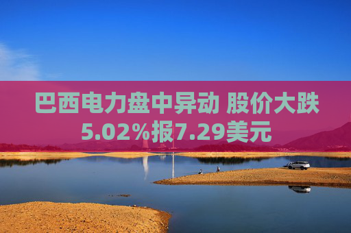 巴西电力盘中异动 股价大跌5.02%报7.29美元