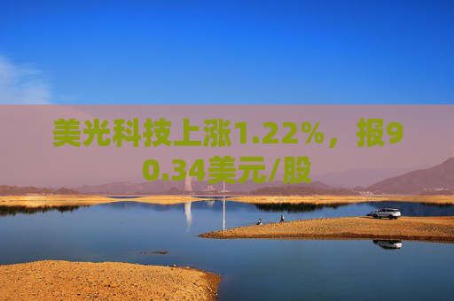 美光科技上涨1.22%，报90.34美元/股