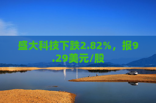 盛大科技下跌2.82%，报9.29美元/股