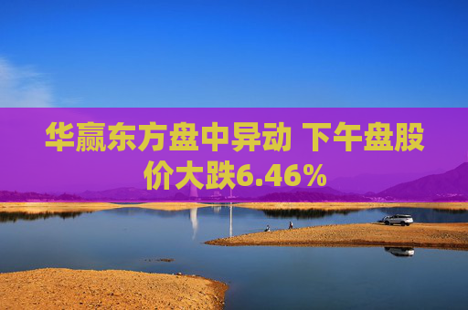 华赢东方盘中异动 下午盘股价大跌6.46%