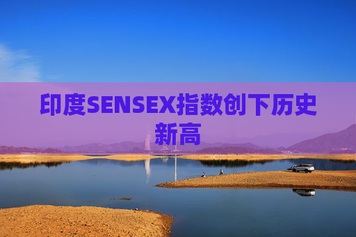 印度SENSEX指数创下历史新高