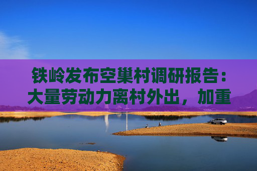 铁岭发布空巢村调研报告：大量劳动力离村外出，加重农业生产成本