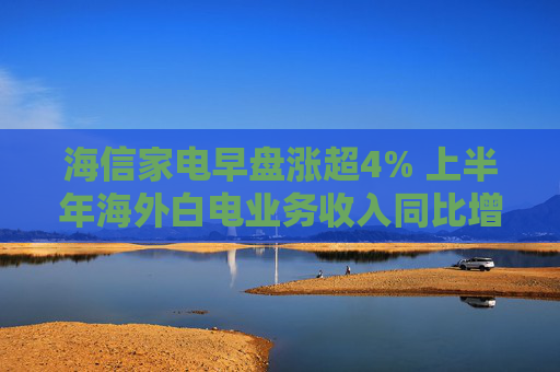 海信家电早盘涨超4% 上半年海外白电业务收入同比增近37%