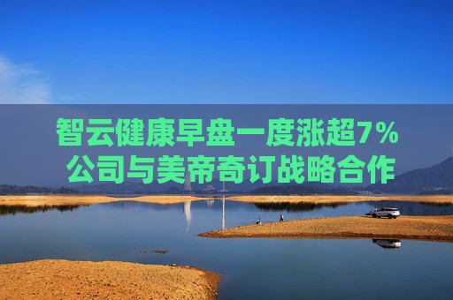 智云健康早盘一度涨超7% 公司与美帝奇订战略合作协议